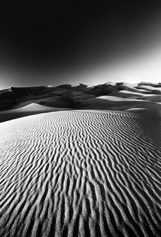 Dunes_7.jpg